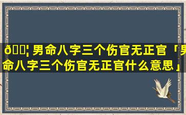 🐦 男命八字三个伤官无正官「男命八字三个伤官无正官什么意思」